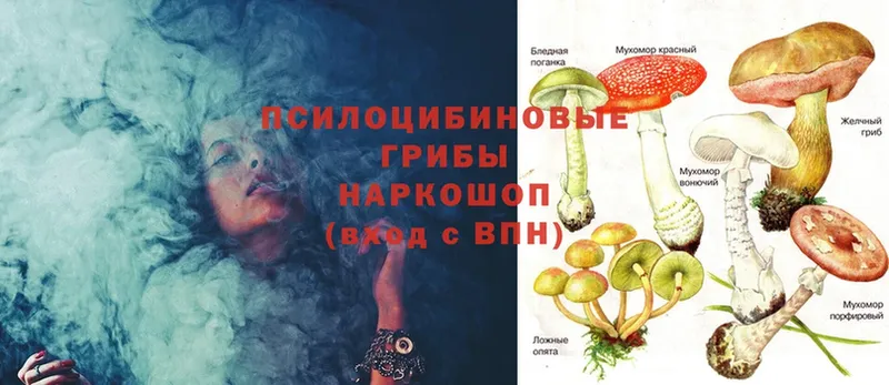 Галлюциногенные грибы MAGIC MUSHROOMS  Алейск 